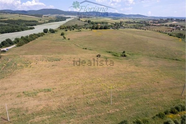 terreno agricolo in vendita a Montalto di Castro in zona Pescia Romana
