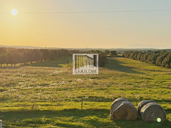 casa indipendente in vendita a Montalto di Castro