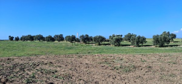 locale di sgombero in vendita a Montalto di Castro