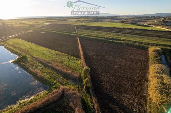 terreno agricolo in vendita a Montalto di Castro in zona Pescia Romana