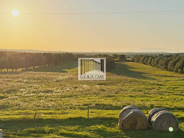 negozio in vendita a Montalto di Castro