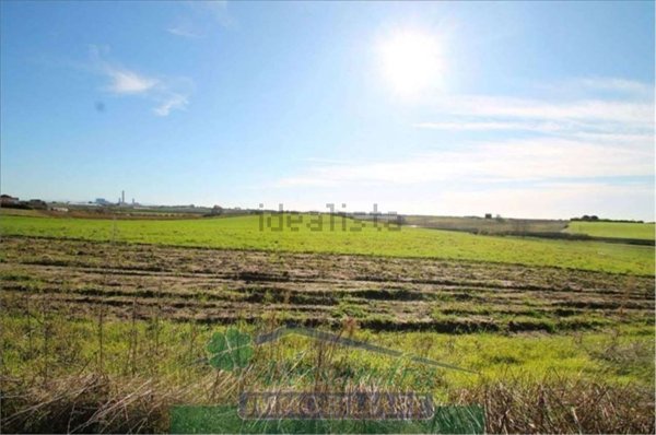 terreno agricolo in vendita a Montalto di Castro in zona Pescia Romana