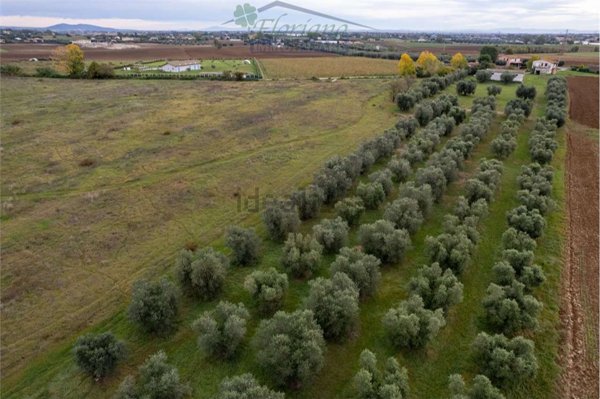 casa indipendente in vendita a Montalto di Castro in zona Pescia Romana