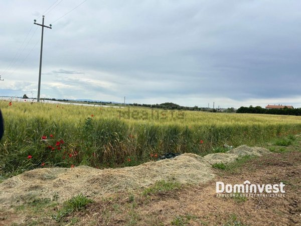 casa indipendente in vendita a Montalto di Castro in zona Pescia Romana