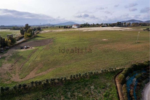 terreno agricolo in vendita a Montalto di Castro in zona Pescia Romana