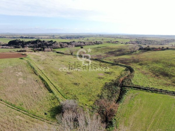 terreno agricolo in vendita a Montalto di Castro