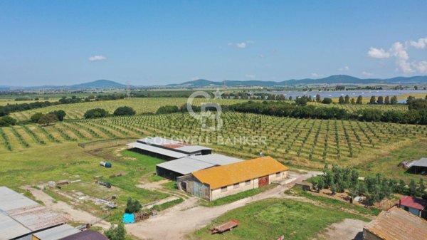 locale di sgombero in vendita a Montalto di Castro