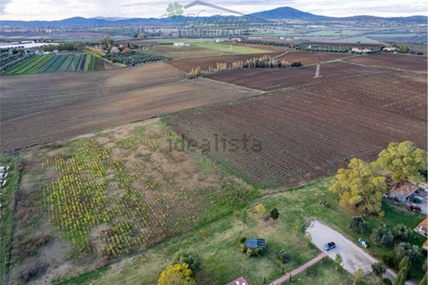 terreno agricolo in vendita a Montalto di Castro in zona Pescia Romana