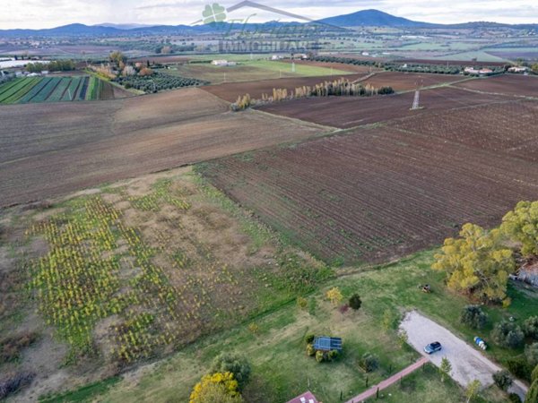 terreno agricolo in vendita a Montalto di Castro in zona Pescia Romana