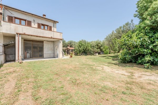 esavano in vendita a Montalto di Castro in zona Pescia Romana