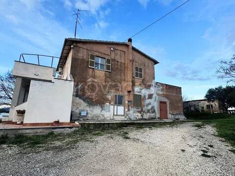 casa indipendente in vendita a Montalto di Castro in zona Pescia Romana