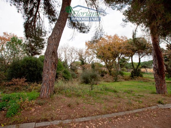 terreno agricolo in vendita a Montalto di Castro in zona Montalto Marina