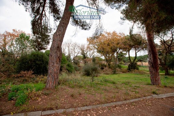 terreno agricolo in vendita a Montalto di Castro in zona Montalto Marina