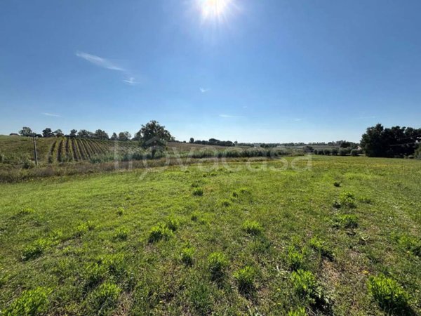 casa indipendente in vendita a Montalto di Castro