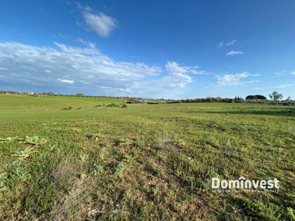 terreno agricolo in vendita a Montalto di Castro