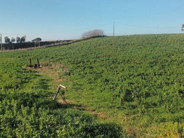locale di sgombero in vendita a Montalto di Castro