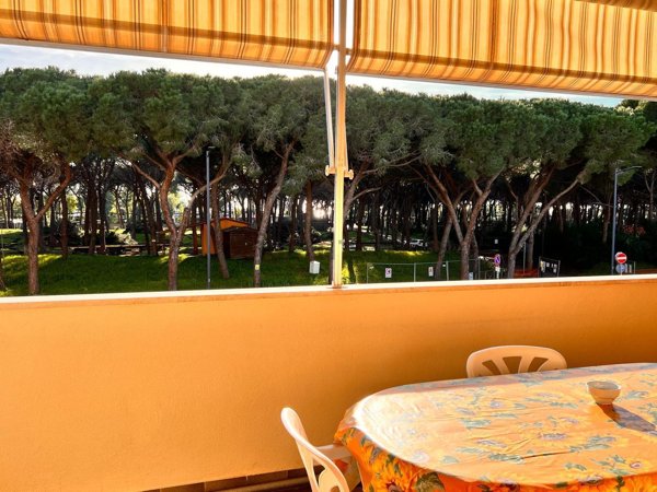 appartamento in vendita a Montalto di Castro