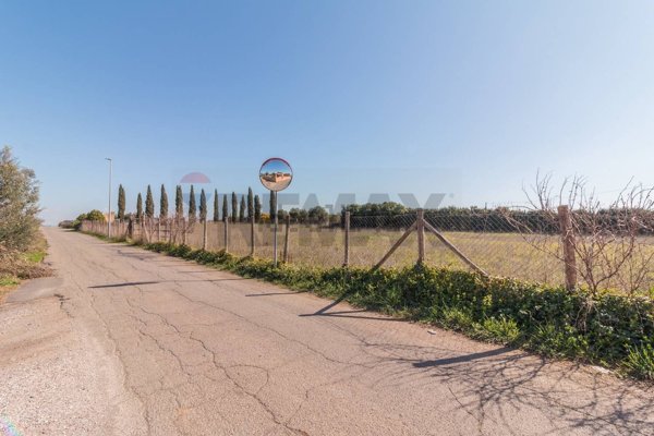 terreno agricolo in vendita a Montalto di Castro