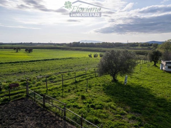 terreno agricolo in vendita a Montalto di Castro in zona Pescia Romana