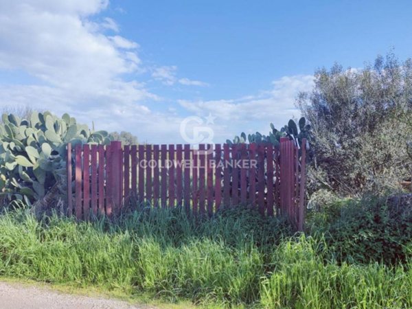 terreno edificabile in vendita a Montalto di Castro