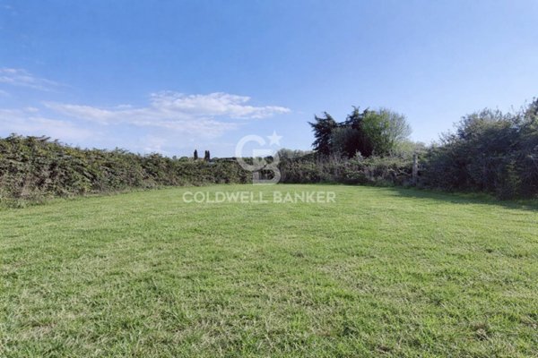 terreno agricolo in vendita a Montalto di Castro
