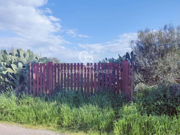 terreno edificabile in vendita a Montalto di Castro