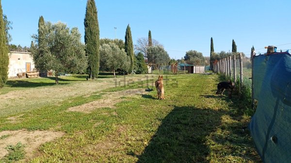 casale in vendita a Montalto di Castro in zona Pescia Romana