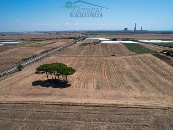 terreno agricolo in vendita a Montalto di Castro in zona Pescia Romana