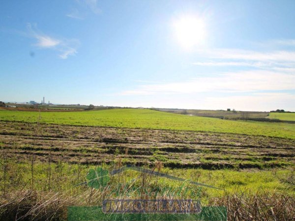 locale di sgombero in vendita a Montalto di Castro in zona Pescia Romana