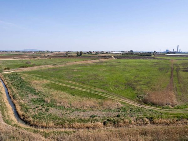 terreno agricolo in vendita a Montalto di Castro in zona Pescia Romana