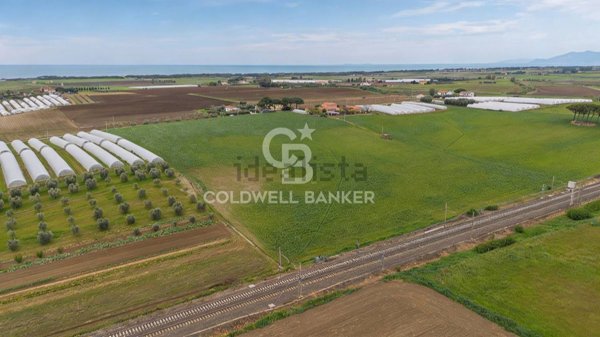 terreno agricolo in vendita a Montalto di Castro in zona Pescia Romana