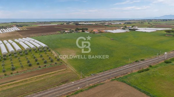 terreno agricolo in vendita a Montalto di Castro in zona Pescia Romana