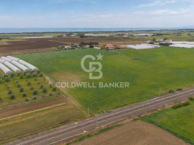 terreno agricolo in vendita a Montalto di Castro in zona Pescia Romana