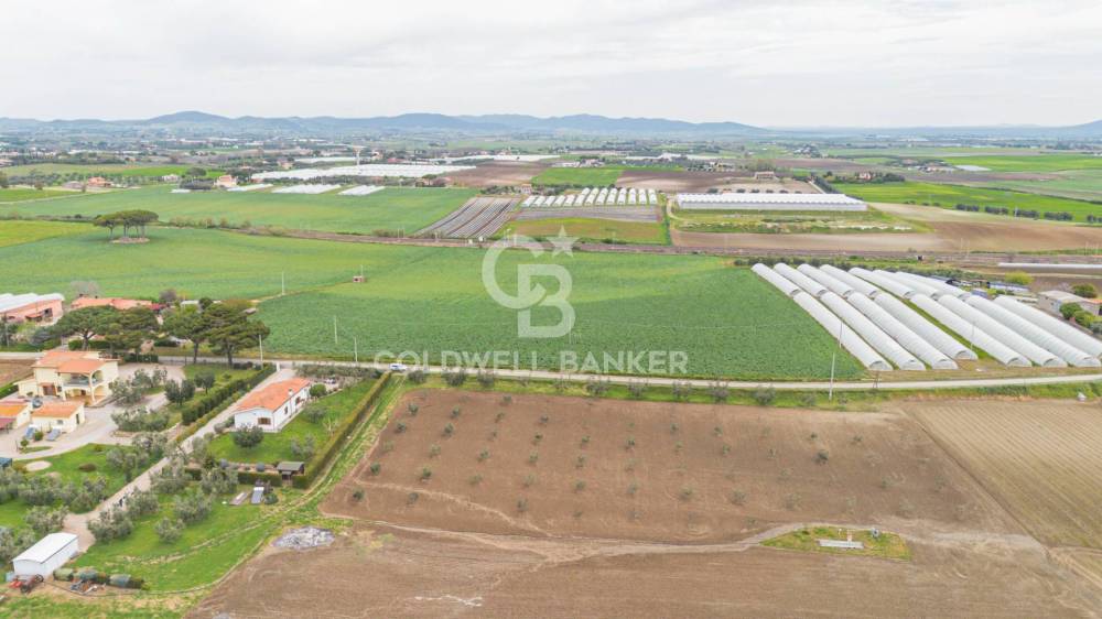 terreno agricolo in vendita a Montalto di Castro in zona Pescia Romana