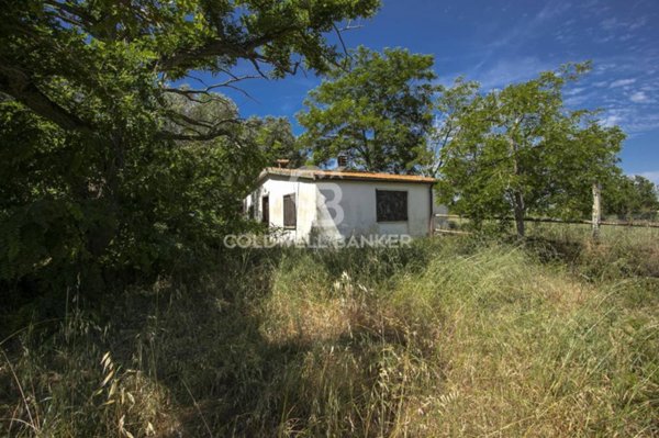 casa indipendente in vendita a Montalto di Castro