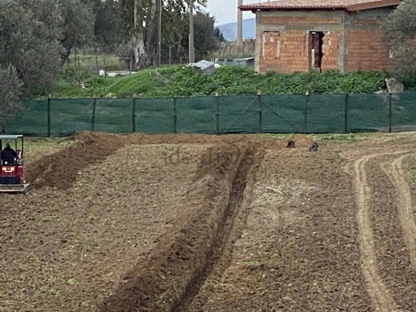 casa indipendente in vendita a Montalto di Castro