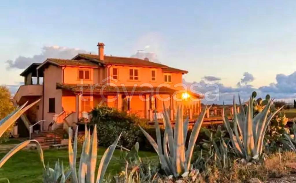 casa indipendente in vendita a Montalto di Castro in zona Pescia Romana