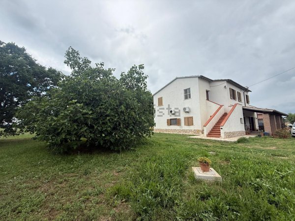 casale in vendita a Montalto di Castro