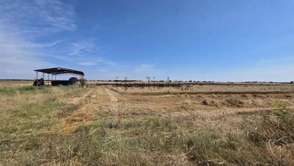 terreno agricolo in vendita a Montalto di Castro