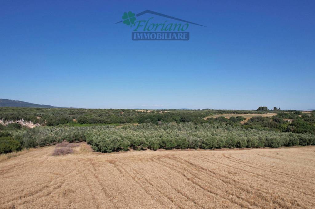 terreno agricolo in vendita a Montalto di Castro