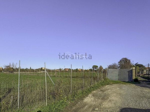 casa indipendente in vendita a Montalto di Castro in zona Pescia Romana