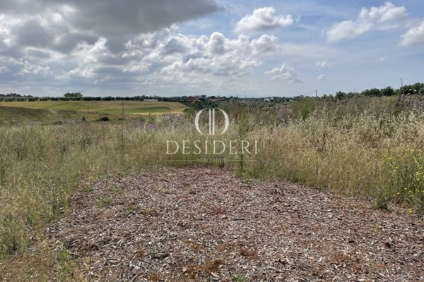 terreno agricolo in vendita a Montalto di Castro