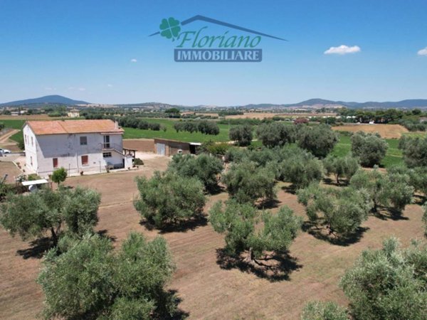 casa indipendente in vendita a Montalto di Castro in zona Pescia Romana