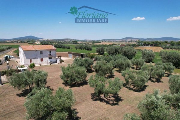 casa indipendente in vendita a Montalto di Castro in zona Pescia Romana