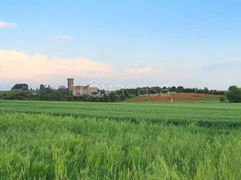 terreno in vendita a Montalto di Castro in zona Pescia Romana