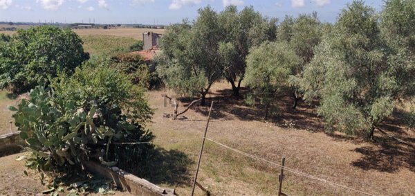 casa indipendente in vendita a Montalto di Castro in zona Pescia Romana