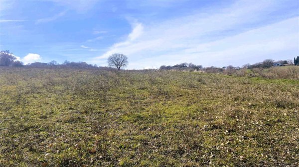 terreno agricolo in vendita a Montefiascone in zona Poggio Frusta