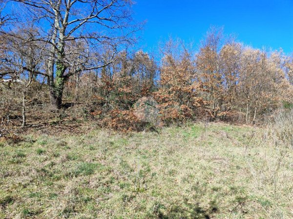 terreno agricolo in vendita a Montefiascone in zona Le Coste