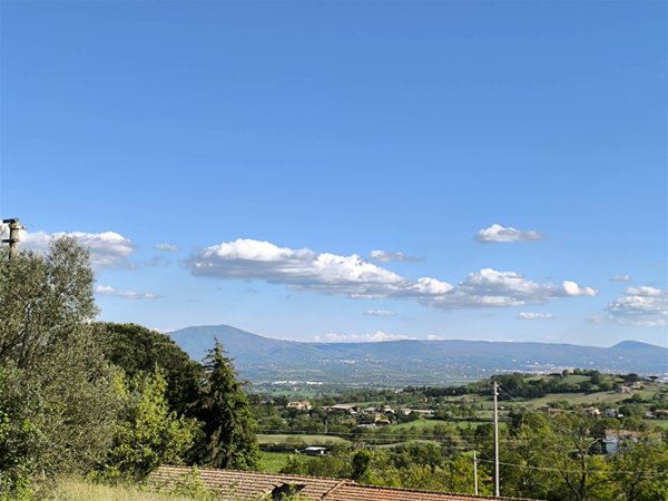 terreno edificabile in vendita a Montefiascone in zona Cipollone