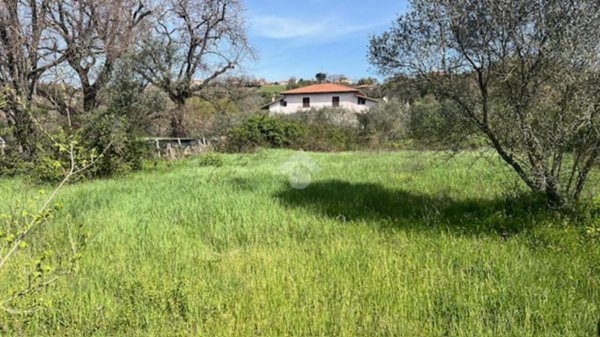 casa indipendente in vendita a Montefiascone in zona Zepponami